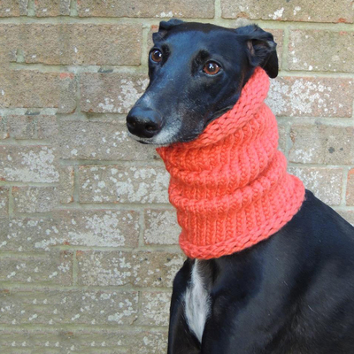 Y-Z Greyhound Lurcher Whippet Dog Snood Neck Warmer Hat Handmade Chunky Yarn Scarf for Dog