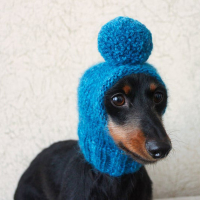 Y-Z Pom-Pom Mini Dachshund Small Dog Hat Knit Knitted Little Dog Pet Hat