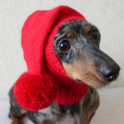 Y-Z Small Mini Dachshund Wiener Dog Pet Hat Dog Clothes Knitted Little Knit Dog Hat
