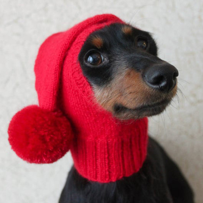 Y-Z Small Mini Dachshund Wiener Dog Pet Hat Dog Clothes Knitted Little Knit Dog Hat