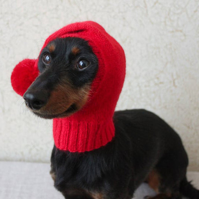 Y-Z Small Mini Dachshund Wiener Dog Pet Hat Dog Clothes Knitted Little Knit Dog Hat