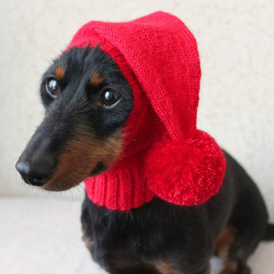 Y-Z Small Mini Dachshund Wiener Dog Pet Hat Dog Clothes Knitted Little Knit Dog Hat