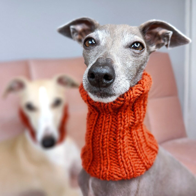 Y-Z Sport Funny Personality New Dog Head Neck Warmer and Windproof Knit Fighting Hot Snood Hat