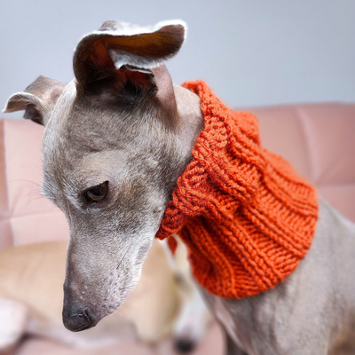 Y-Z Sport Funny Personality New Dog Head Neck Warmer and Windproof Knit Fighting Hot Snood Hat