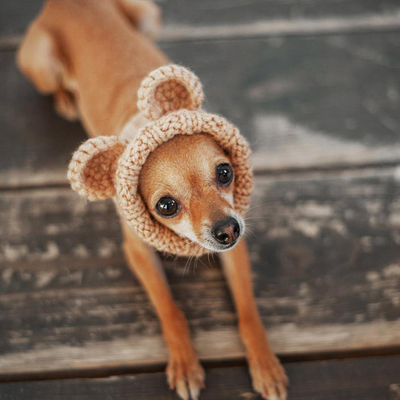 Y-Z Pet Tops Bear Dog's Ear Hood Designer Winter Knitted Snood Large Dog Clothes Hat