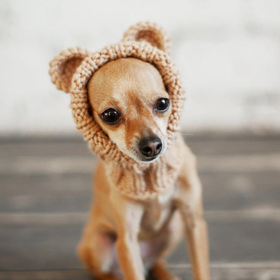 Y-Z Pet Tops Bear Dog's Ear Hood Designer Winter Knitted Snood Large Dog Clothes Hat