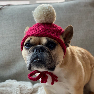Y-Z Dog Clothing Accessories Handmade Dog Beanie with Pom Pom Crochet Knit Dog Hat Gift