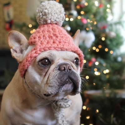 Y-Z Dog Clothing Accessories Handmade Dog Beanie with Pom Pom Crochet Knit Dog Hat Gift