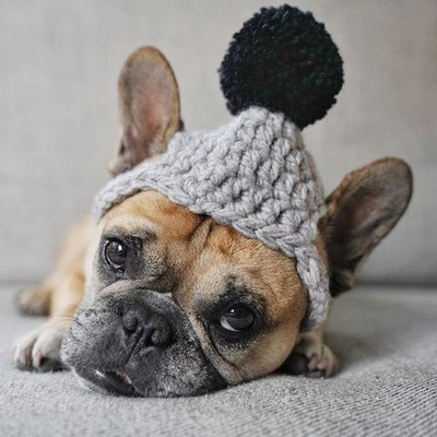 Y-Z Dog Clothing Accessories Handmade Dog Beanie with Pom Pom Crochet Knit Dog Hat Gift