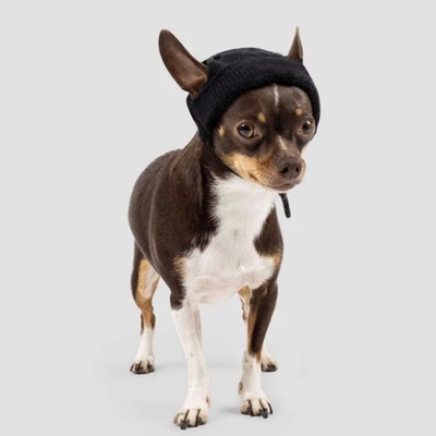 Y-Z Wholesale custom logo designer knitted adjustable winter warm funny dog skull hat