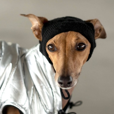 Y-Z Wholesale custom logo designer knitted adjustable winter warm funny dog skull hat