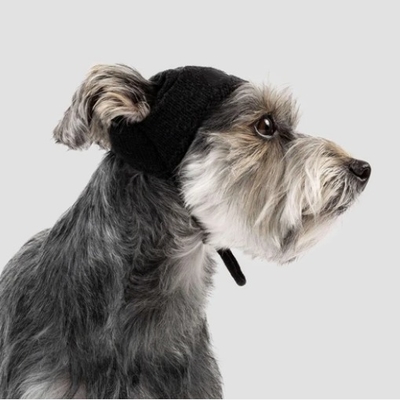 Y-Z Wholesale custom logo designer knitted adjustable winter warm funny dog skull hat