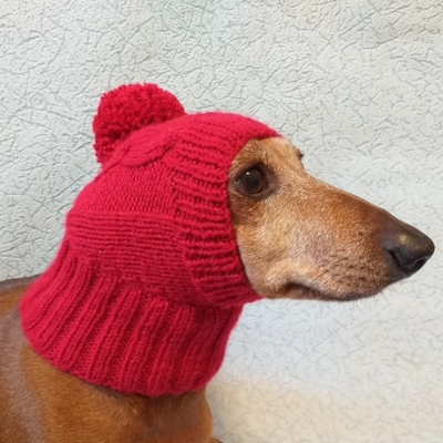 Y-Z Dog Hat with Big Pompom Knitted Dachshund Hat with Big Pompom Clothes Dachshunds