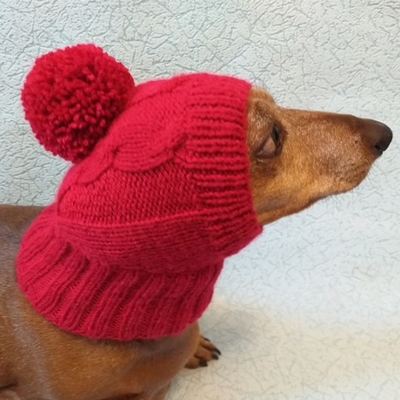 Y-Z Dog Hat with Big Pompom Knitted Dachshund Hat with Big Pompom Clothes Dachshunds