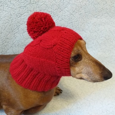Y-Z Dog Hat with Big Pompom Knitted Dachshund Hat with Big Pompom Clothes Dachshunds