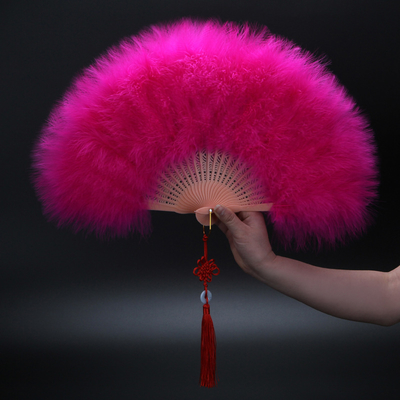 Y-Z Dance Performance Show Art Fan Holiday Party Photography Props Decorative Tassel Feather Big Hand Folding Fan