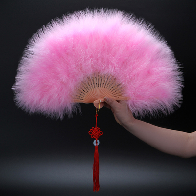 Y-Z Dance Performance Show Art Fan Holiday Party Photography Props Decorative Tassel Feather Big Hand Folding Fan