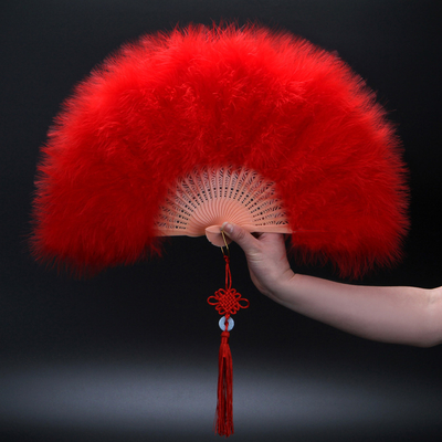 Y-Z Dance Performance Show Art Fan Holiday Party Photography Props Decorative Tassel Feather Big Hand Folding Fan